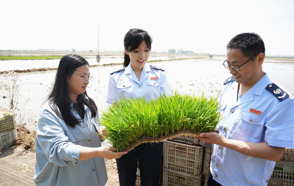 税惠助力打造良种培育“芯”片