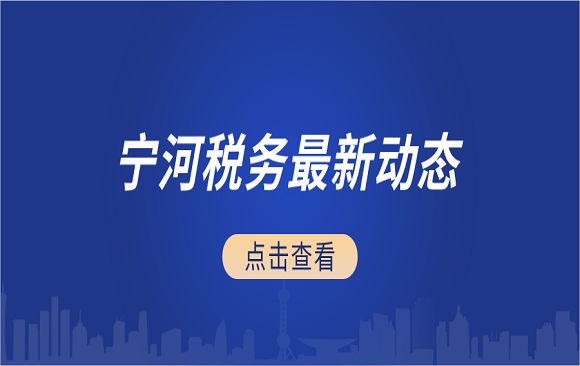 宁河区税务局：聚京津税智合力 向新而进促发展